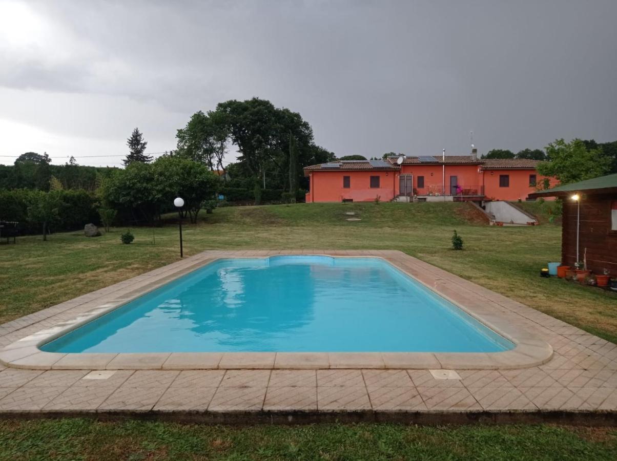 Tenuta Quadrone Cura di Vetralla
