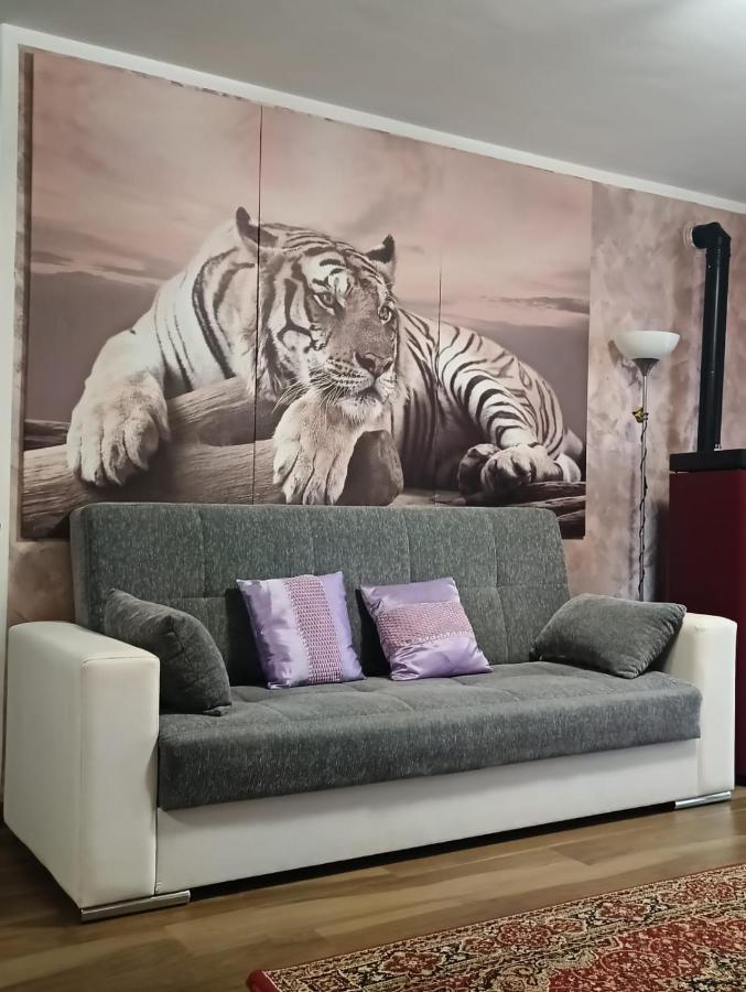 Tenuta Quadrone Apartment Cura di Vetralla